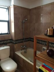 Dover Parkview (D5), Condominium #585347031